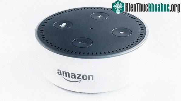 Công ty thực sự đã có hai cái tên khác trước khi Amazon được chọn.