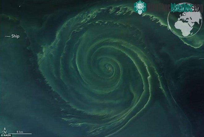 Hình ảnh tảo biển nở hoa ở 1 vùng rộng lớn trên biển Baltic.