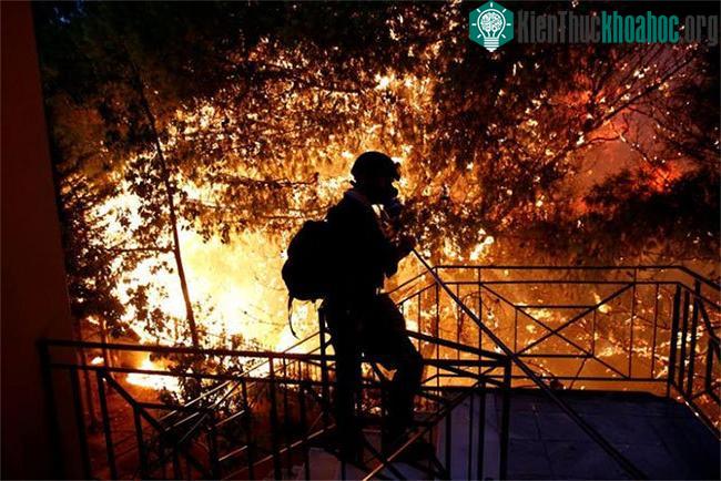 Trái Đất sẽ trở thành nhà kính khổng lồ "trong vài chục năm nữa" ảnh 1