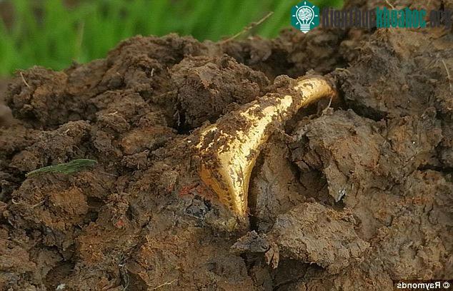 Ban đầu, Ben nghĩ rằng chiếc nhẫn chỉ là vòng kéo mở nắp đồ hộp.
