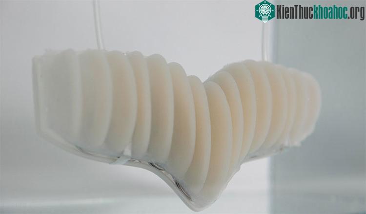 Amphibio là một chiếc mang nhân tạo.