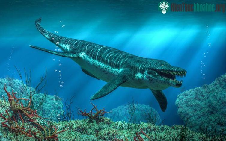 Pliosaurs