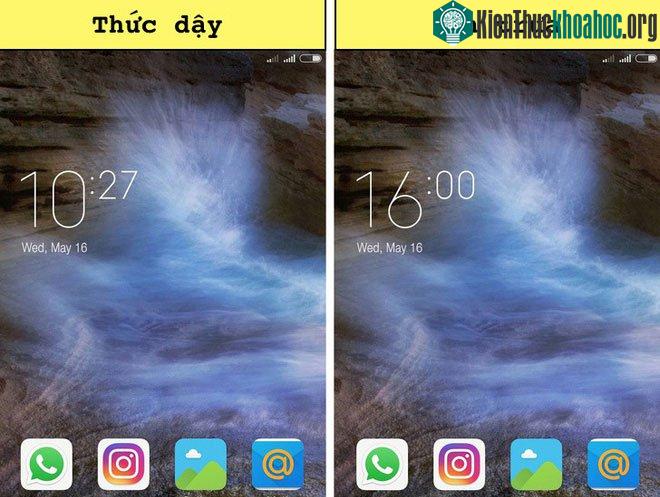 Bản thân cú đêm không làm thay đổi nhịp sinh học bình thường của chính họ