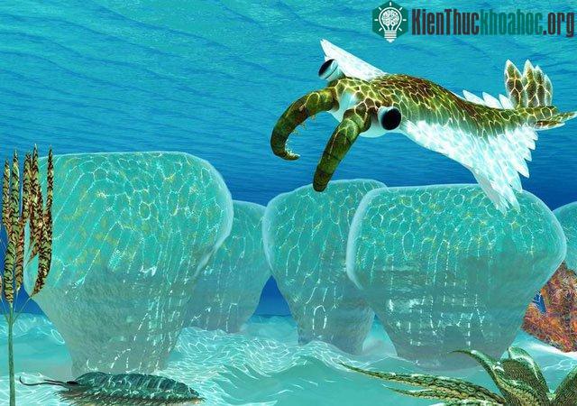 Sự sống trong lòng đại dương nở rộ trong "thế giới nhà kính", khi toàn cầu nóng lên khiến băng tan chảy, nhiệt độ nước biển tăng lên khoảng 25 độ C - (Ảnh: Getty Images).