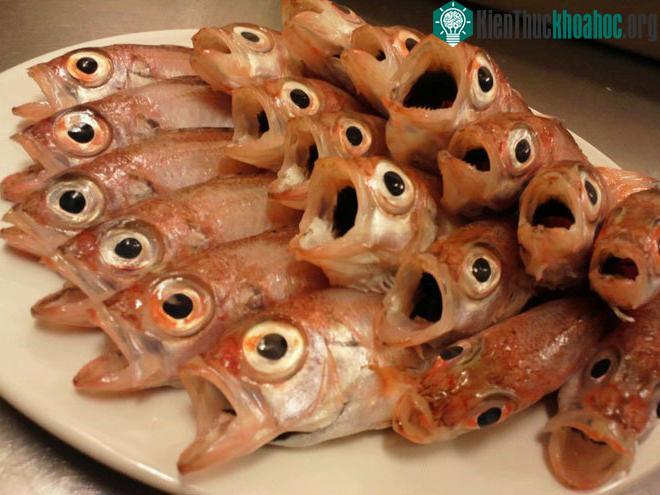 Vật phẩm theo đúng mùa của nó được tin rằng sẽ mang đến sự may mắn và hạnh phúc.