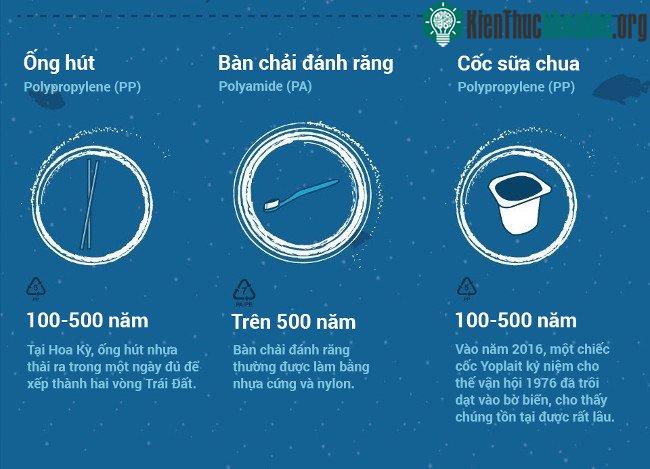 Bàn chải đánh răng thường làm từ nhựa cứng và nylon, mất trên 500 năm để phân hủy.