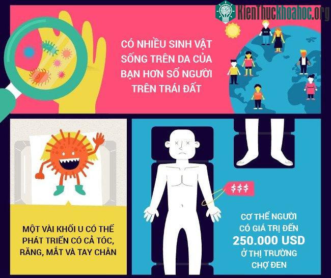 Có nhiều sinh vật sống trên da của bạn hơn số người trên Trái đất.