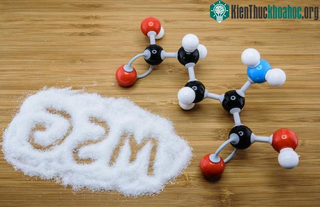 Mì chính là một dạng của axit glutamic, ngay cả cơ thể người cũng chứa 2kg mì chính tự nhiên.