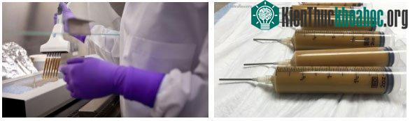 Đối với người muốn hiến tặng, họ phải có sức khỏe tốt và trong độ tuổi từ 18 đến 50.