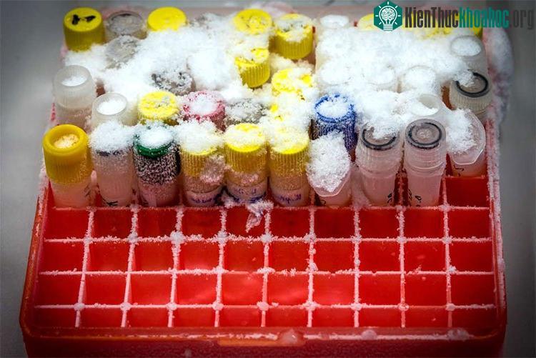 Oxytocin đòi hỏi phải được bảo quản lạnh.
