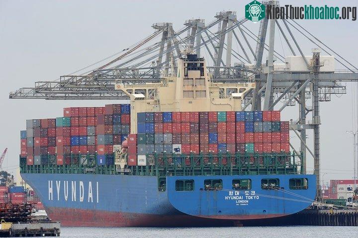 Việc các công ty đóng tàu thích điều đó hoặc vì họ chọn sơn dựa theo giá bán.