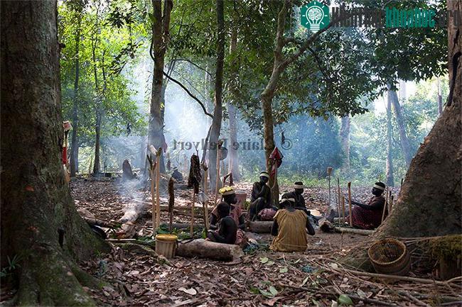 Người Jarawa sống du mục dựa vào nguồn thức ăn từ rừng và biển. (Ảnh: Claire Beilvert).