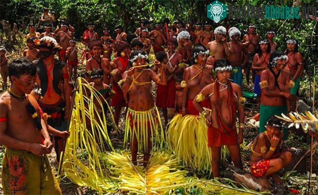 Tộc Yanomami.