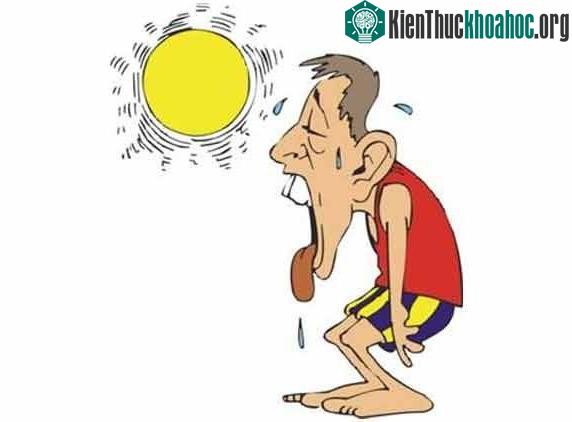 Nắng nóng khiến đầu óc chúng ta trì trệ.