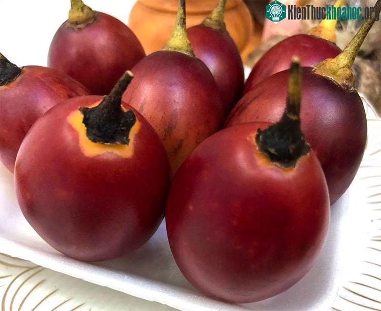 Cà chua Tamarillo