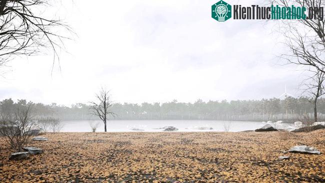 Ngôi nhà được thiết kế độc đáo, có thể