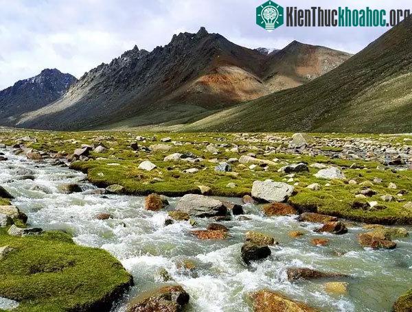 Thung lũng Himalaya