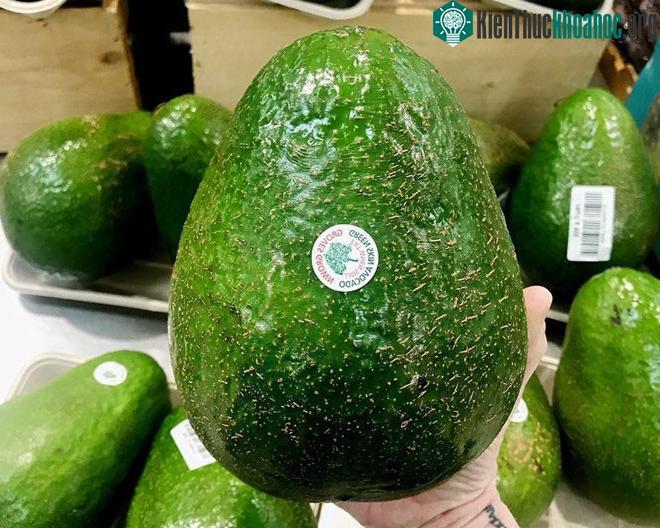 Loại bơ này có nguồn gốc từ châu Phi. (Ảnh: Instagram).