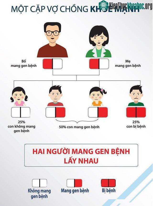 Sơ đồ di truyền bệnh tan máu