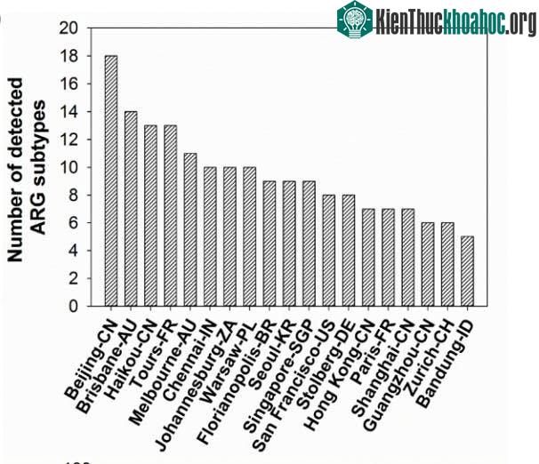 Báo cáo về các loại gene kháng thuốc trong không khí tại các thành phố lớn.