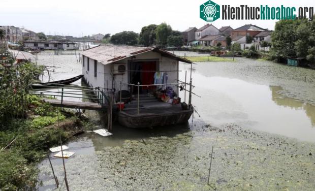 Một số người dân làng Zisiqiao hiện đang lo lắng về sự phát triển của ngành công nghiệp này, đặc biệt đối với môi trường và vấn đề xã hội.