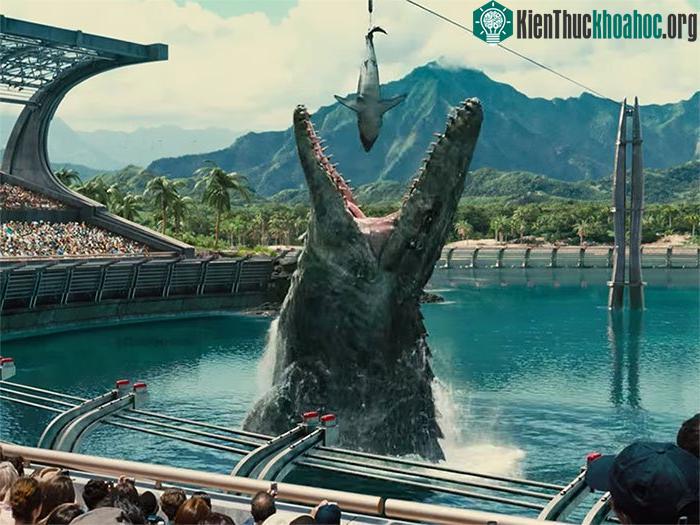 Mosasaurs