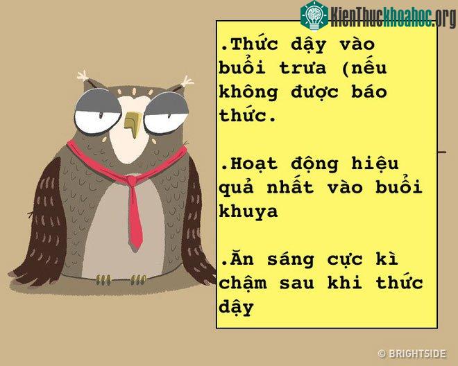 Hoạt động của các "cú đêm".