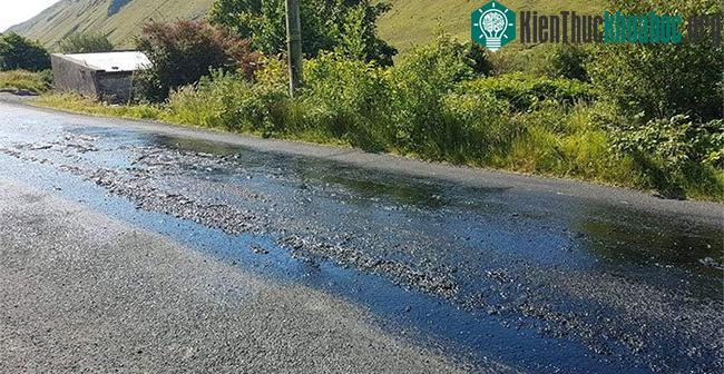 Ảnh chụp tại Glengesh, Ireland cũng cho thấy mặt đường nhớp nháp trước cái nắng hè bỏng rát.