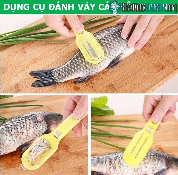 Dụng cụ đánh vảy cá thông minh