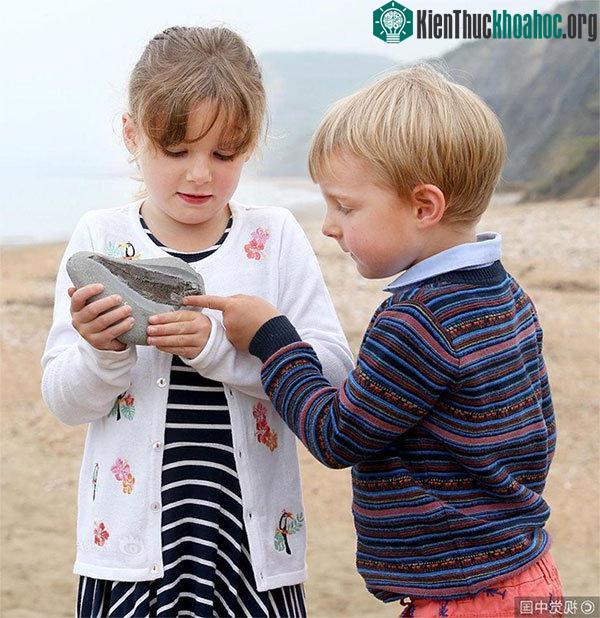 Đi dạo, bé 5 tuổi tìm được điều giới khoa học mong mỏi ảnh 2