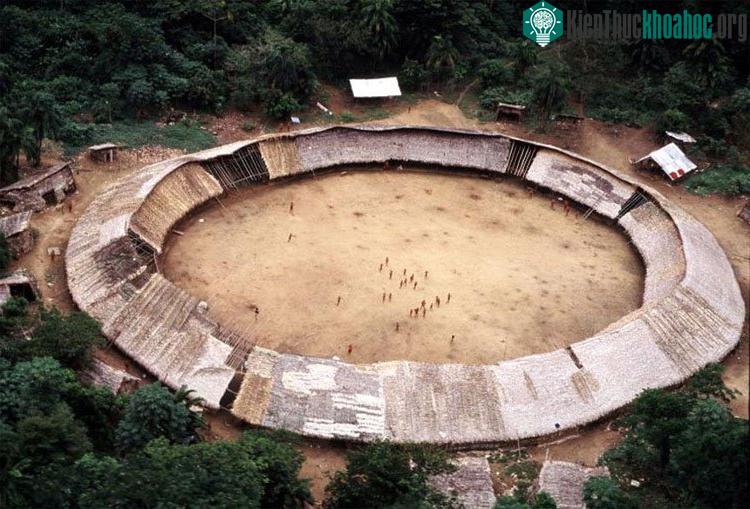 Shabono của người Yanomami.
