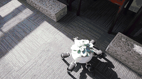 Robot biết tìm tới ánh sáng để quang hợp.