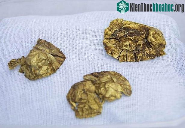 Một trong những hiện vật bằng phát được phát hiện trong ngôi mộ cổ.