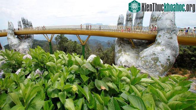 Chùm ảnh Cầu Vàng Đà Nẵng đẹp mê hồn du khách ảnh 2