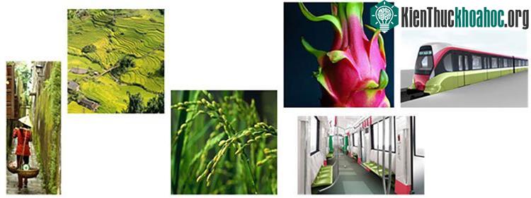 Ý tưởng trang trí tàu được lấy cảm hứng từ các gam màu thân thiện với thiên nhiên
