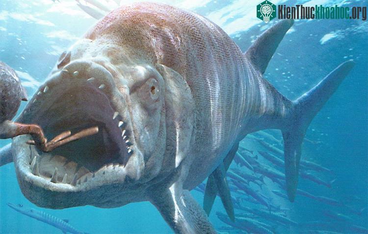 Xiphactinus