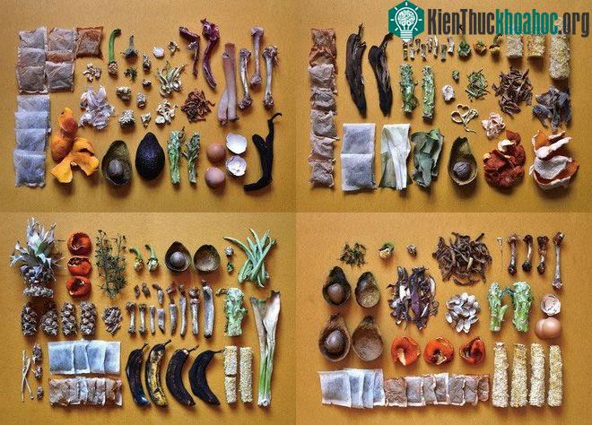 Vật dụng gia đình làm từ rác thải thực phẩm của các nhà thiết kế Nhật Bản