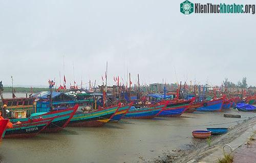Tàu thuyền neo đậu an toàn tại cảng cá Cửa Sót trưa 18/7. (Ảnh: Đức Hùng).