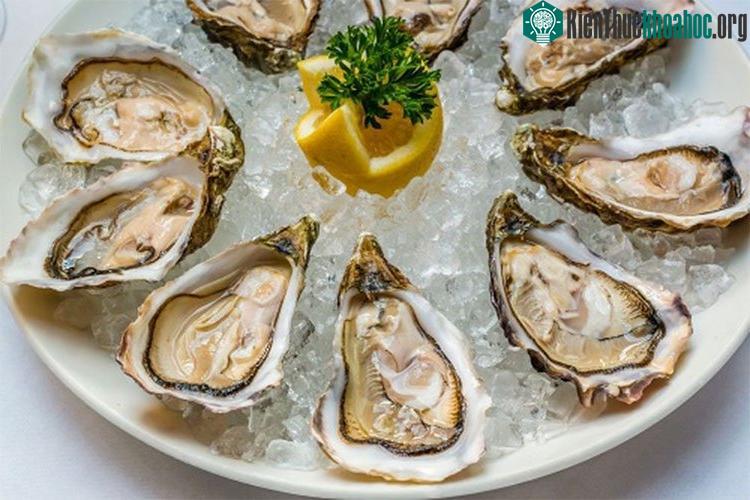 Hàu và các loài động vật nhuyễn thể (ngao hến, hàu, móng tay, tu hài…) sống vùng đáy, ăn bùn, tảo và phù du nên rất nhiều con có thể nhiễm các loại vi khuẩn, ký sinh trùng...