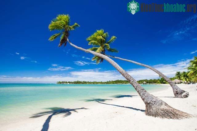 Đảo Fiji