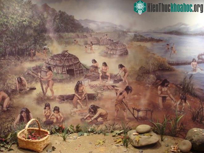 Trải qua ảo giác