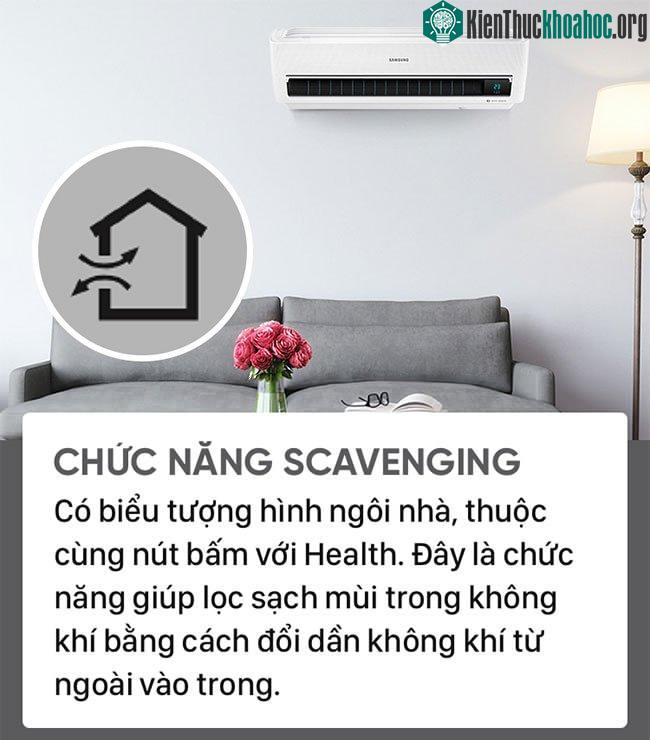Chức năng Scavenging