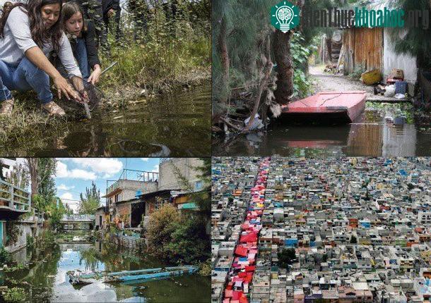 Quận Xochimilco đông đúc và ô nhiễm.