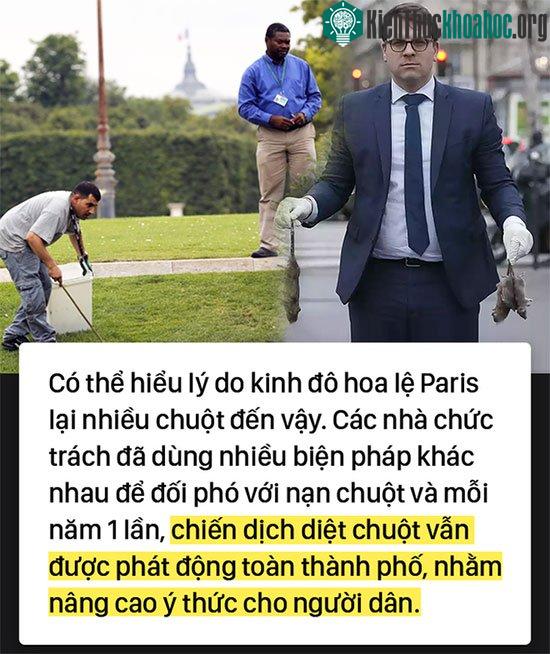 Kinh hoàng