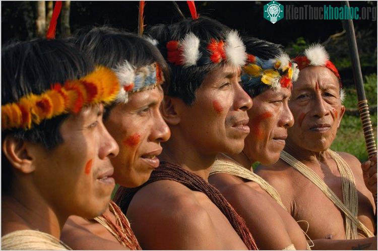 Tộc Huaorani trở về tự nhiên vì muốn bảo vệ rừng.