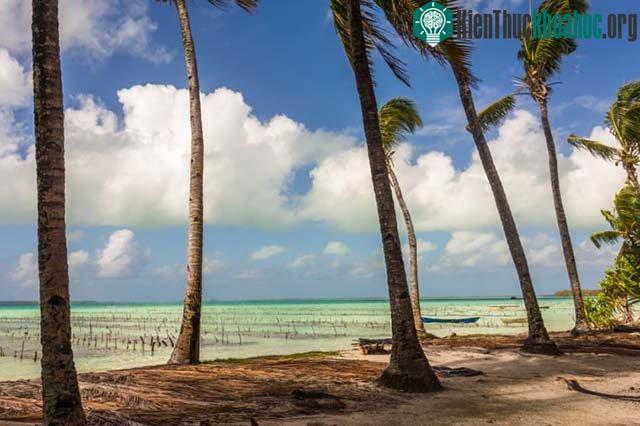 Đảo Kiribati