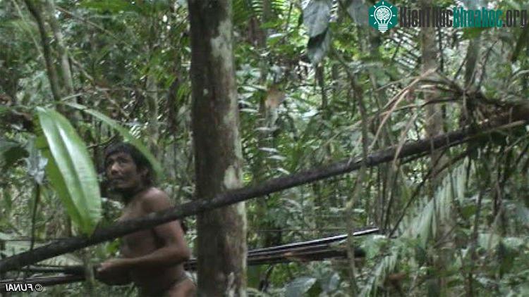 Người Kawahiva cả đời chạy trốn, sợ người hiện đại.