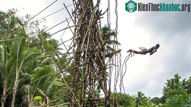 Nhảy bungee bằng dây thừng