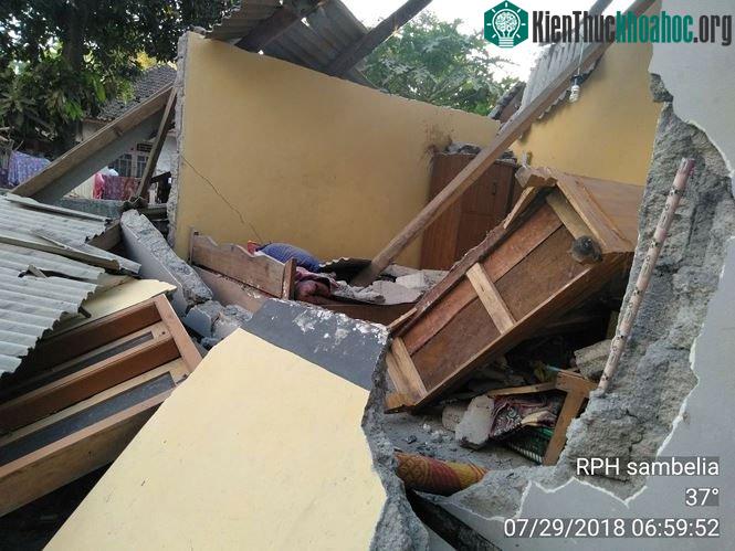 Các ngôi nhà ở đây chỉ được xây dựng với chiều cao thấp hơn chiều cao trung bình của một cây dừa.