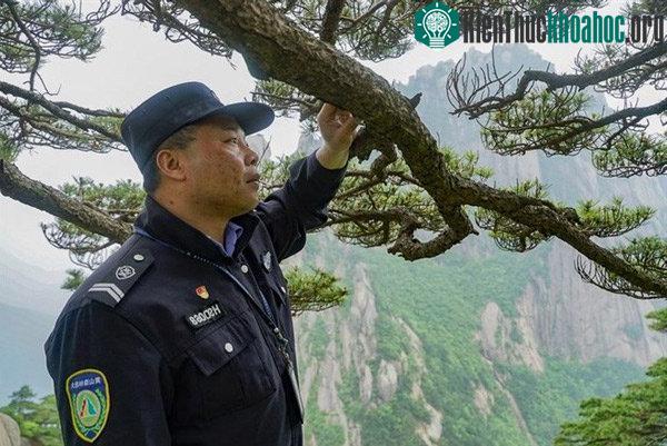 Người đàn ông họ Hồ, cận vệ thứ 19 của Cây thông Nghênh khách.